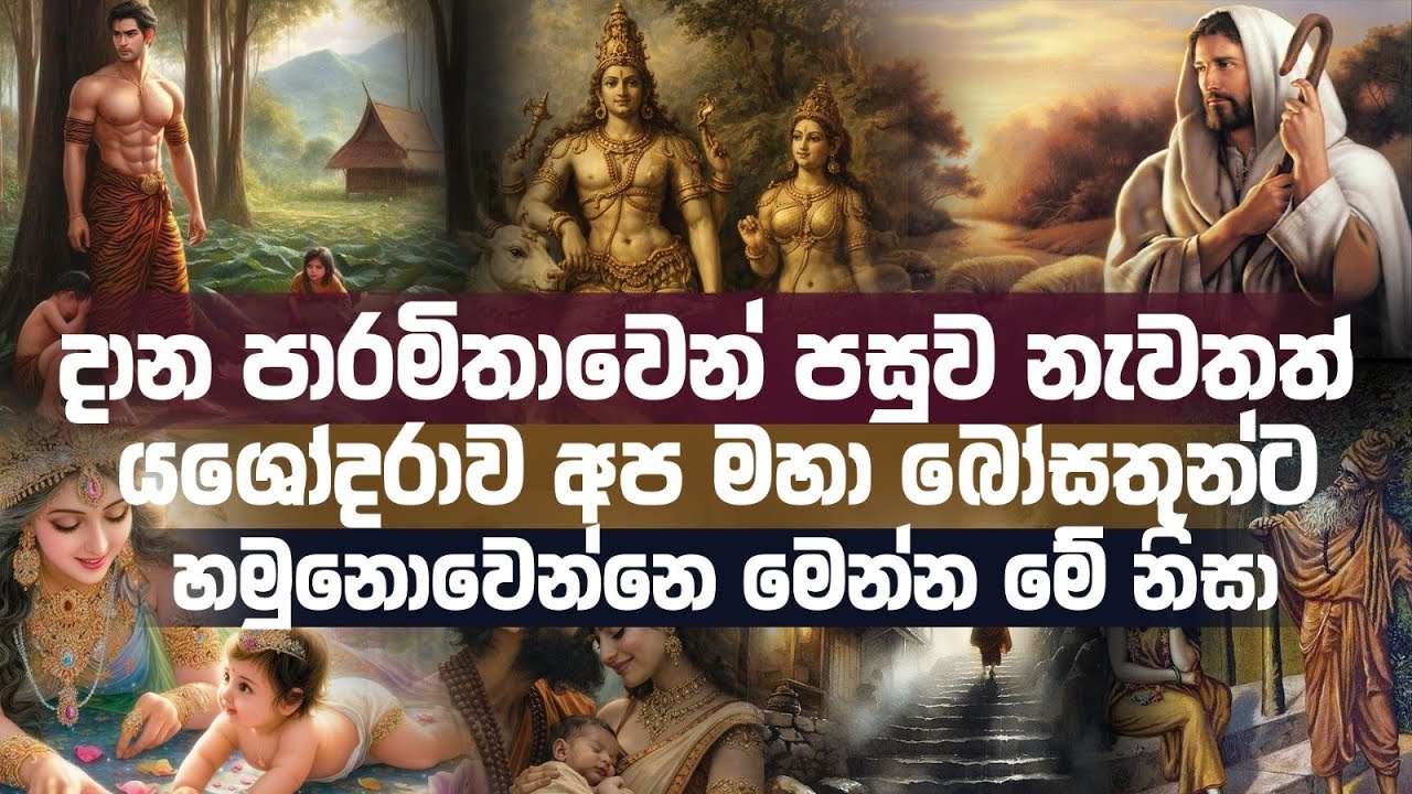 ස්වාමීනී කියල තමන්ගෙ බිරිද, ආමන්ත්‍රණය කලේ මෙන්න මේ ජන්මයේදී පමණි #buddha #avalokitesvara 