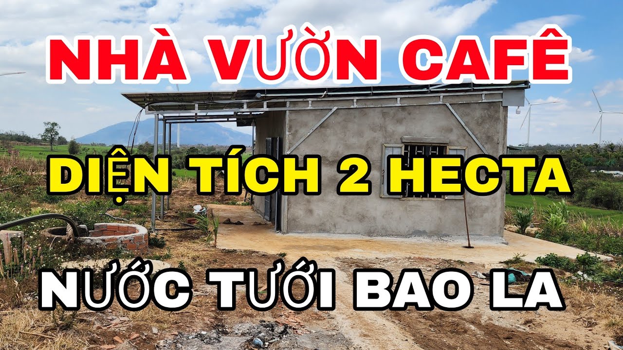 Nhà vườn cafê tơ diện tích 2 hecta giếng điện đầy đủ nước tưới bao la