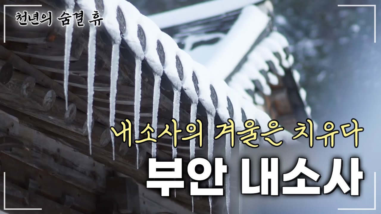 화려함과 담백함 수려함과 겸허가 고요히 깃든 내소사 | 천년의 숨결 휴 부안 내소사 (59회)