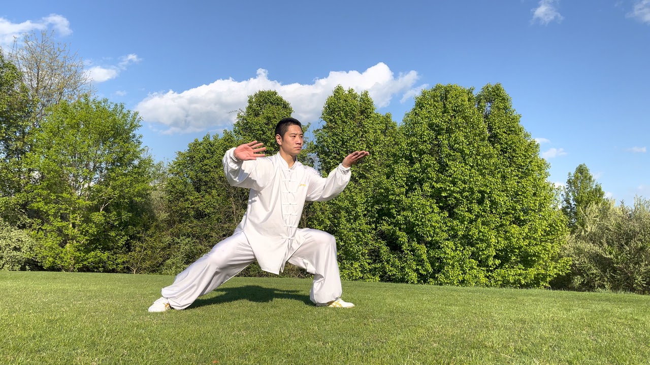 陈式太极拳规定套路（Chen Style Taijiquan Stipulate Routine  ）