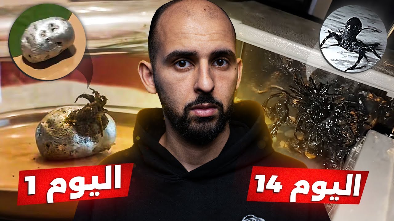 نيزك غامض سقط في بنما وتحول إلى مخلوق مرعب بعد أيام!! 😱☄️