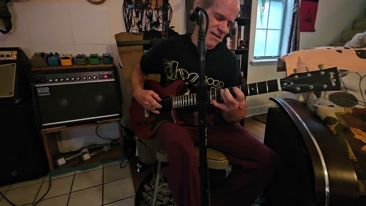 Harley Benton Double-cut 