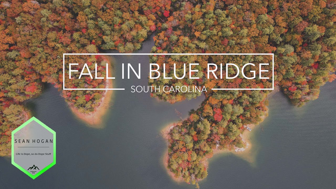 Fall In The Blue Ridges of South Carolina -- 4K Relaxation