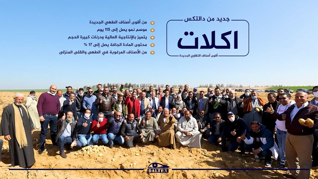 بطاطس إكلات