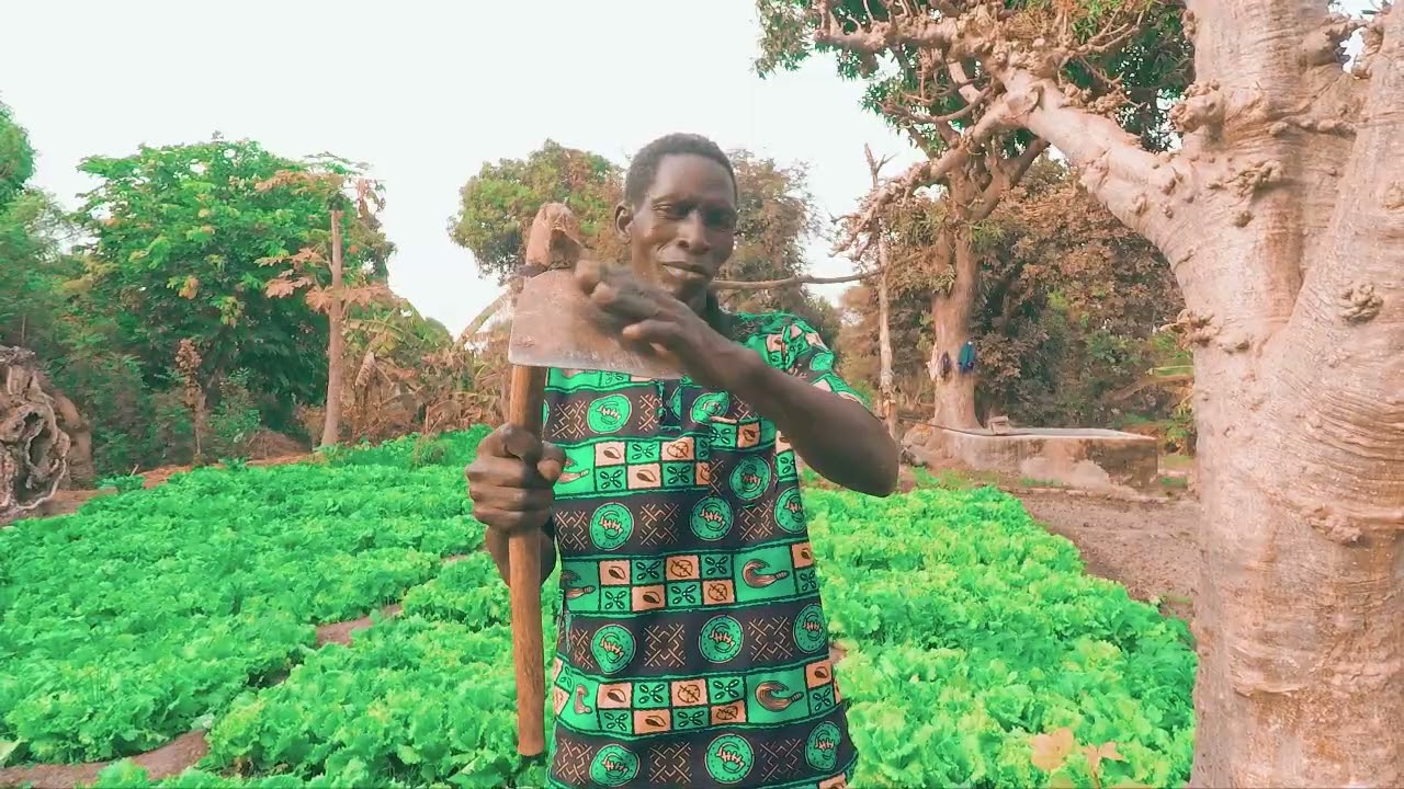 Maestro - Daba_Clip Officiel