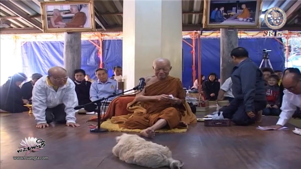 🔴 LIVE !! 20/02/2569 [ ช่วงที่ 2 ] ช่องทีวีหลวงตามหาบัว SBTtv