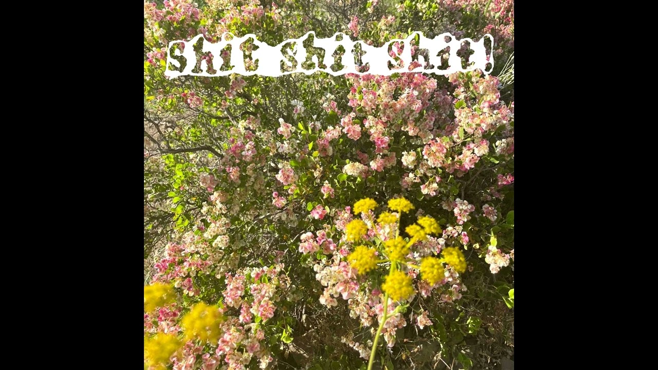 shit shit shit! (ssshhhiiittt!) &ndash; sunsad (Альбом, 2022)