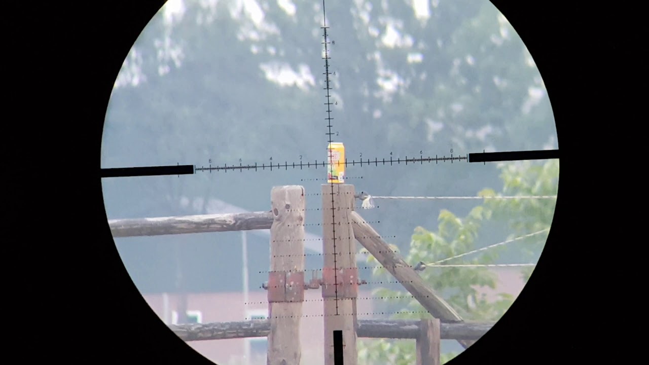 Fx impact mk2 .25 cal