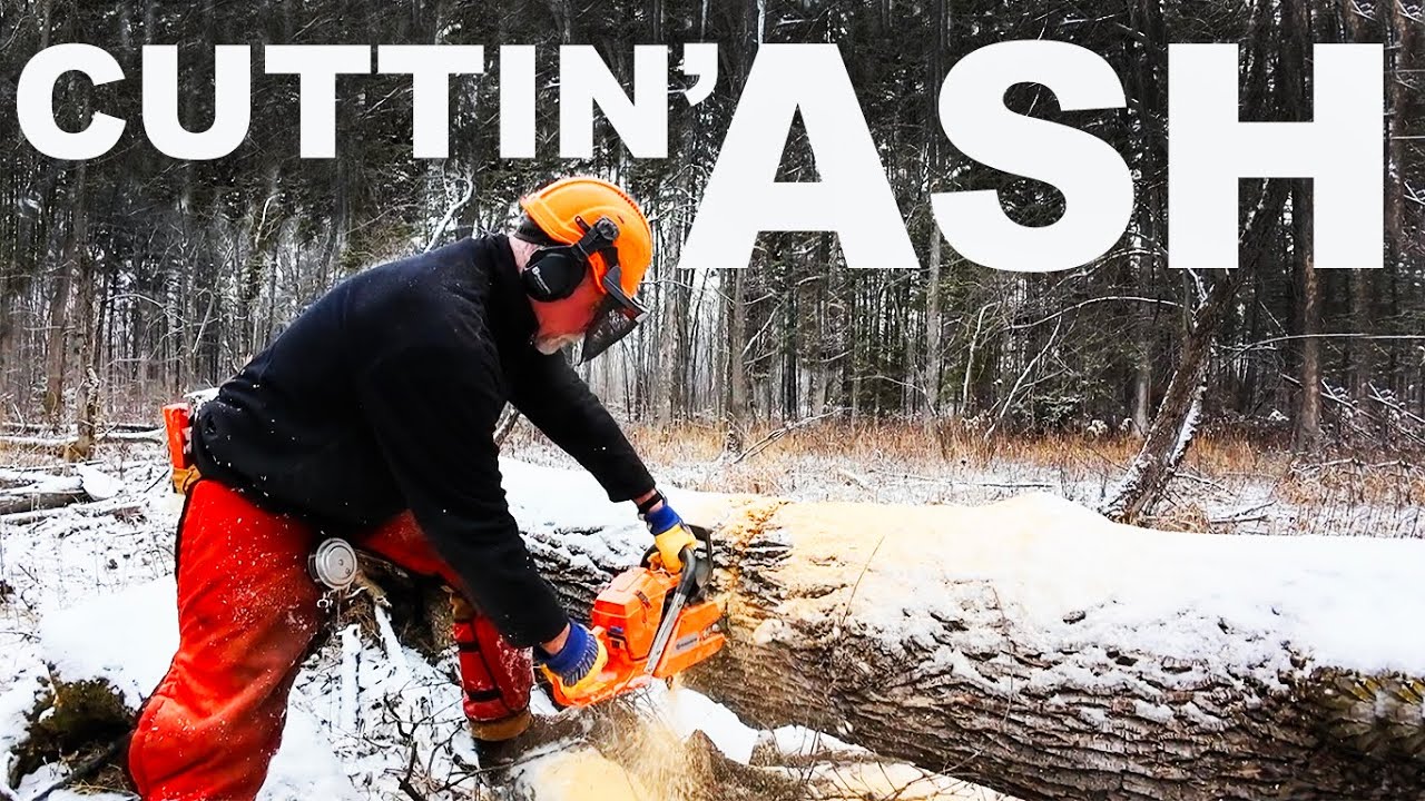CHAINSAW LOGGER OLD MAN KICKS ASH IN THE WOODS!