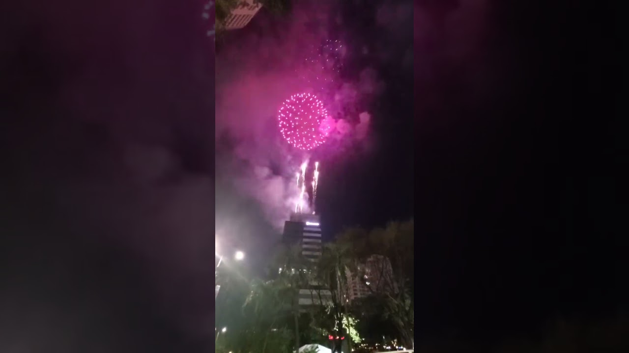 Fireworks Display😱
