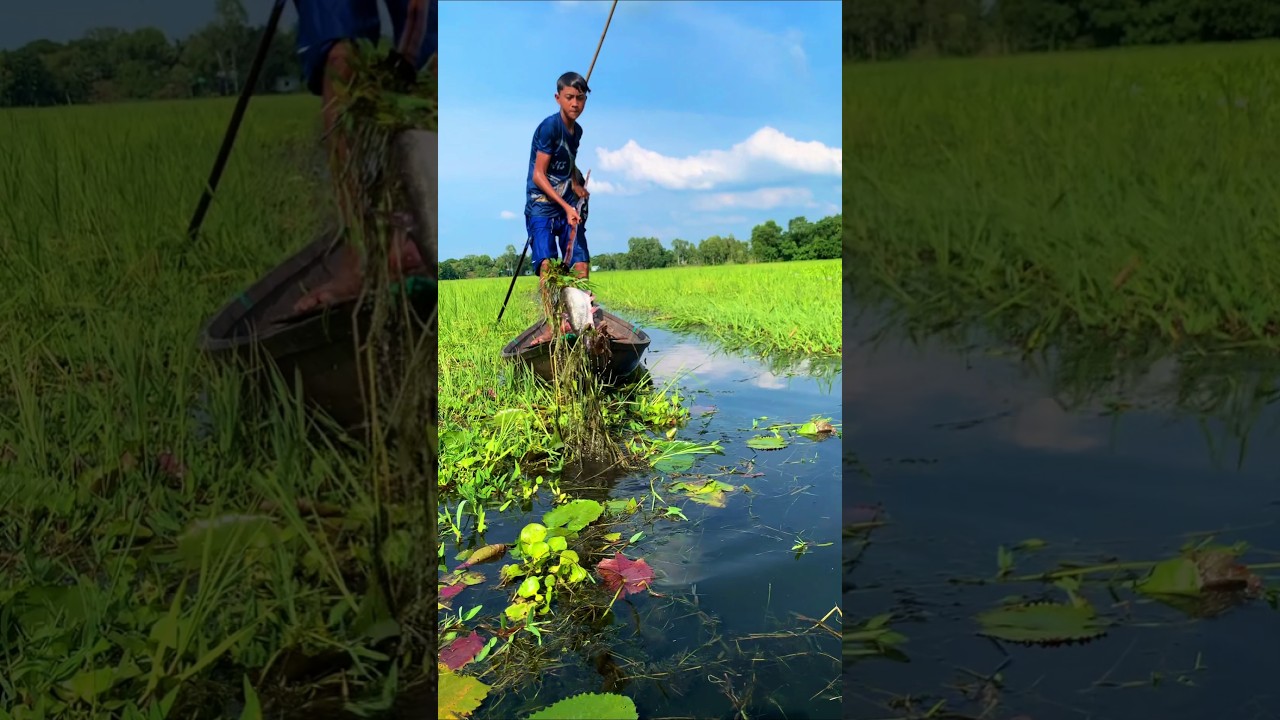 Most Popular Boat Fishing Video 2024 | ( part_10)  #uniquefishing #fishing #boatfishing #shorts