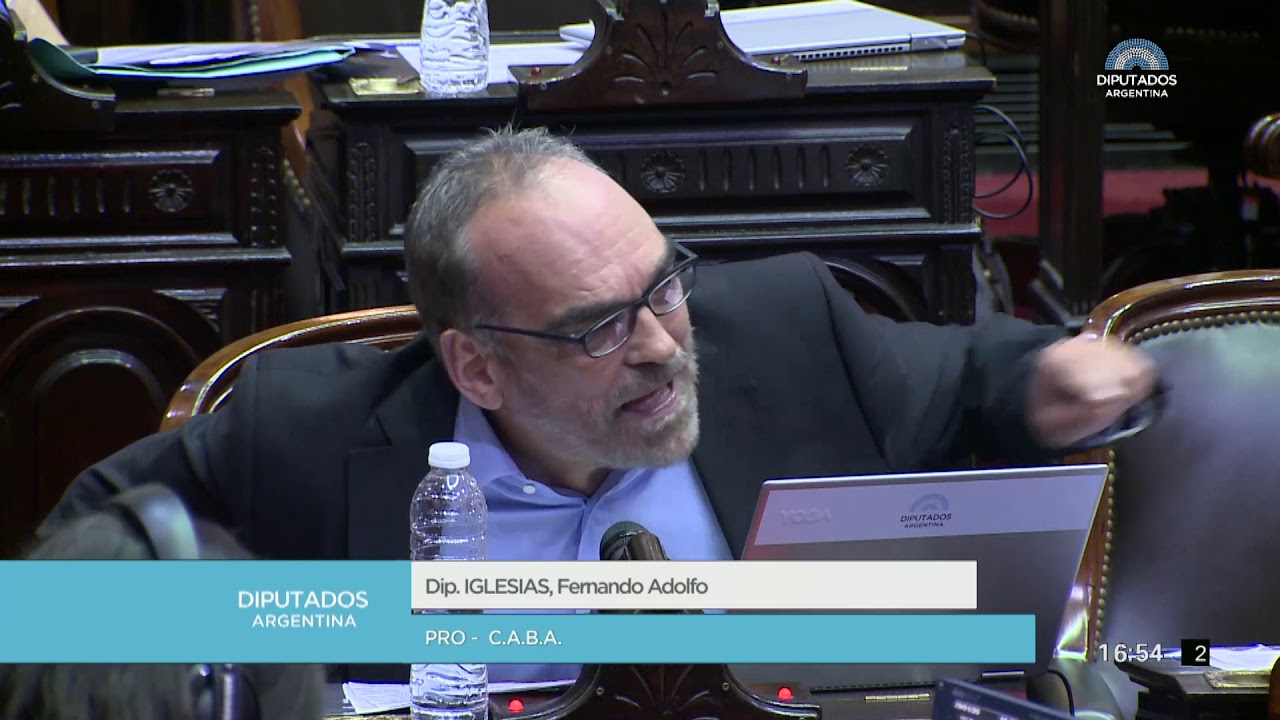 Diputado Iglesias, Fernando Adolfo - Sesión 29-01-2020 - PL