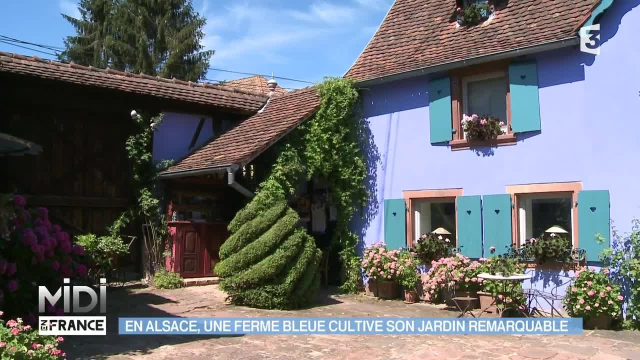 SUIVEZ LE GUIDE : En Alsace, une ferme bleue cultive son jardin remarquable