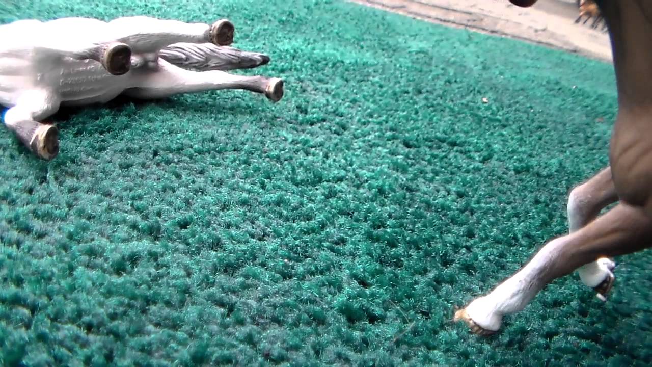 Die Junghengste [schleich pferde] (deutsch) Folge 1 Teil 1