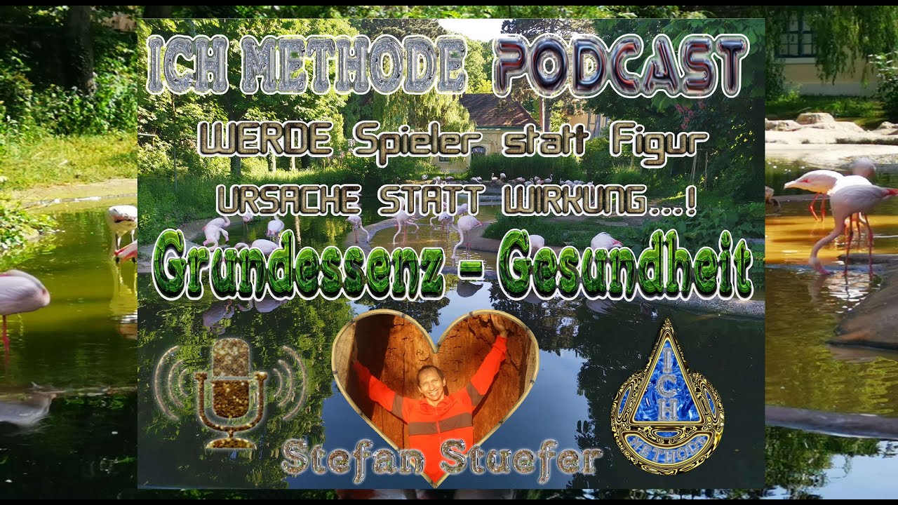 IMMUNSYSTEM - GRUNDESSENZ GESUNDHEIT: Viren, Bakterien!  StevFit - ICH METHODE