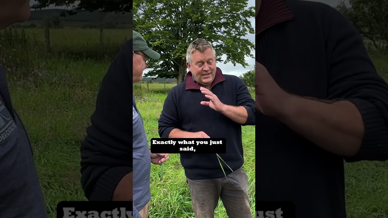 Winter Grazing Challenges w/ Allen Williams and James Rebanks