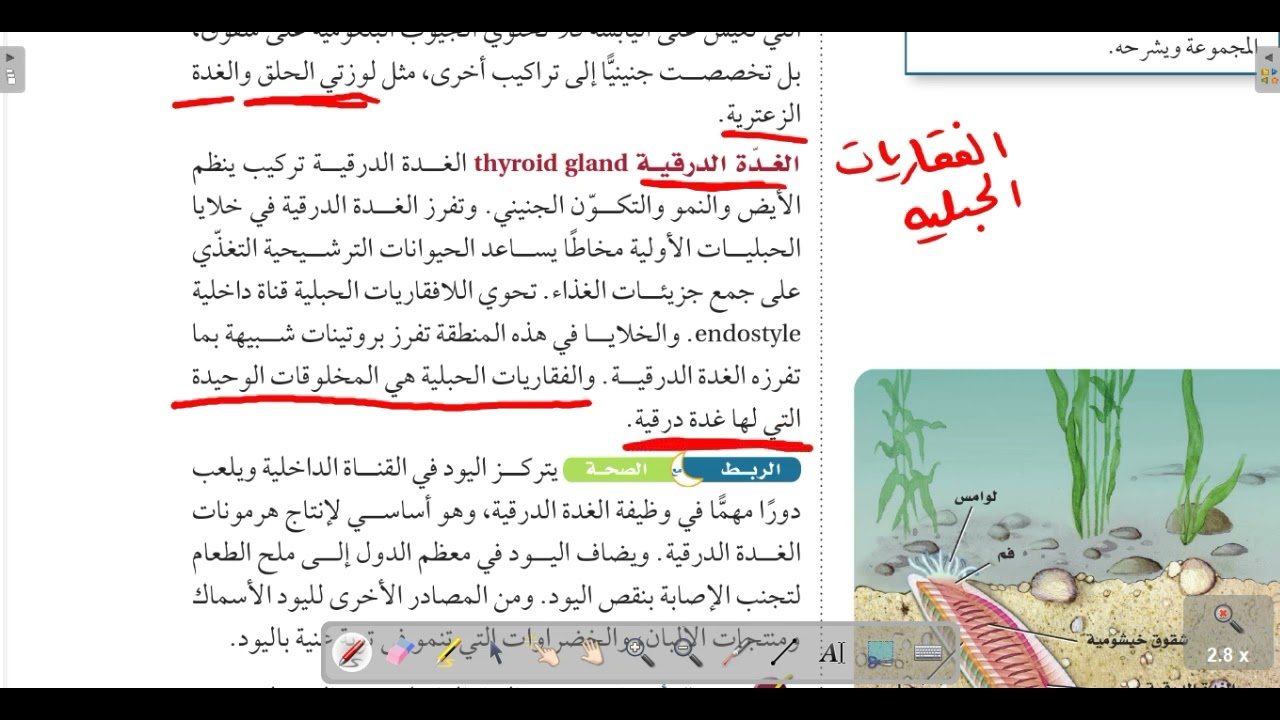 اللافقاريات الحبلية  الدرس الثاني احياء 2 ثاني ثانوي مسارات الفصل الدراسي الأول 1446