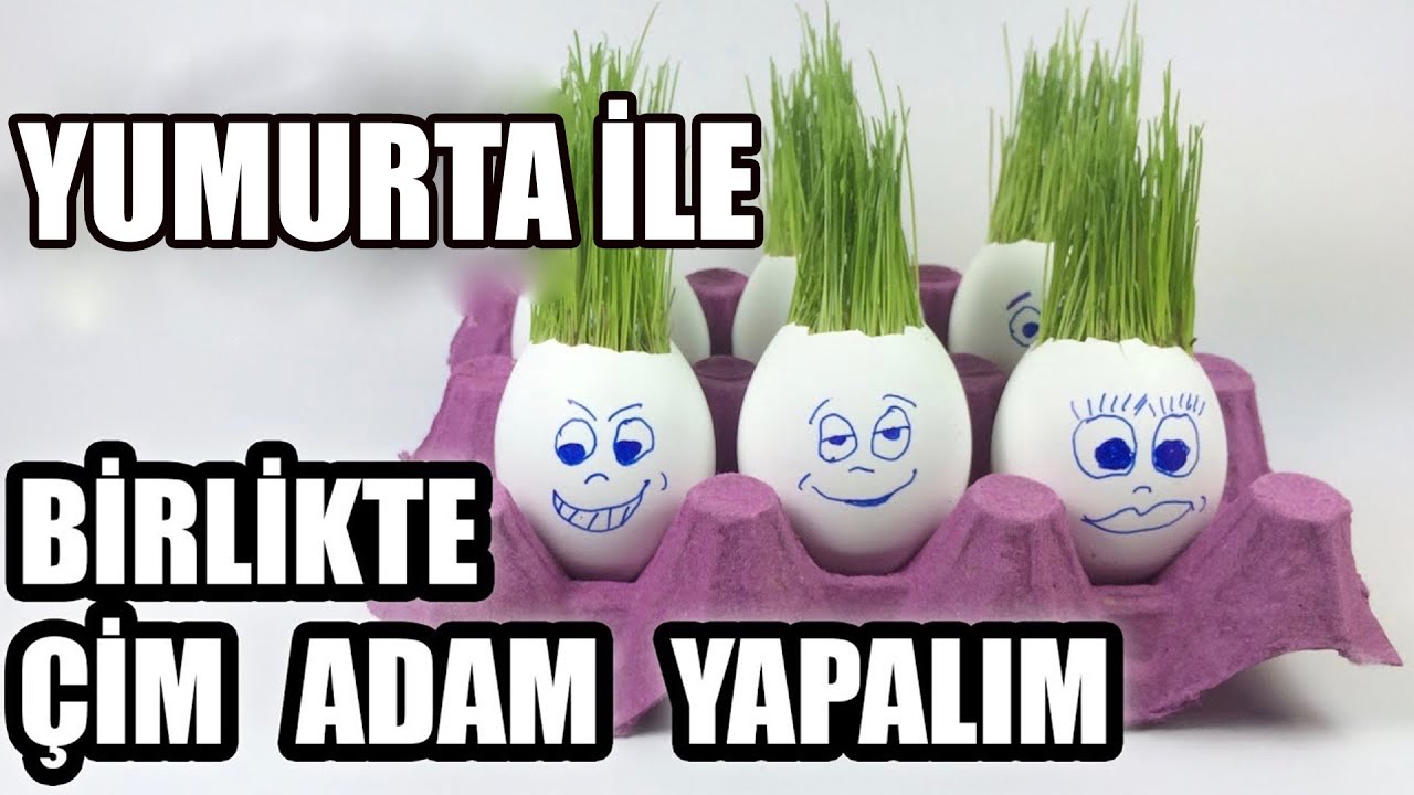 Yumurtada Çimlendirme | Çim Adam Nasıl Yapılır ?