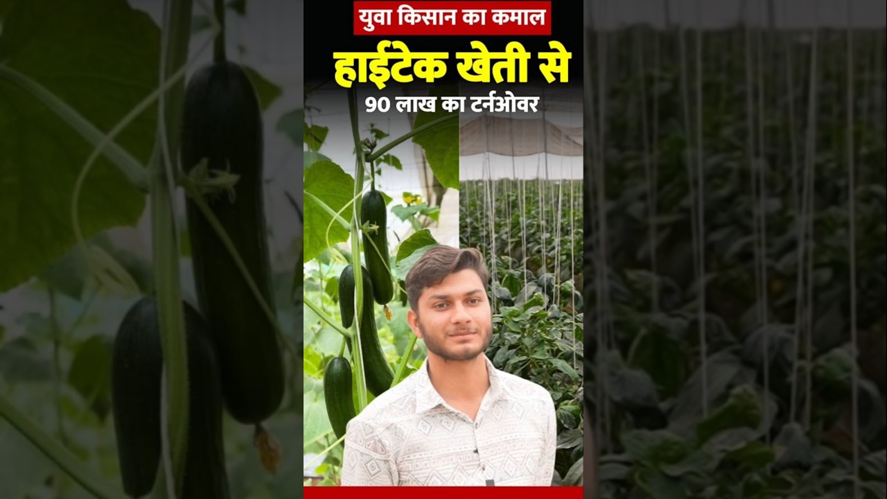 How this 20-Year-Old farmer has an annual turnover of 90 lakhs from #polyhousefarming #agribusiness