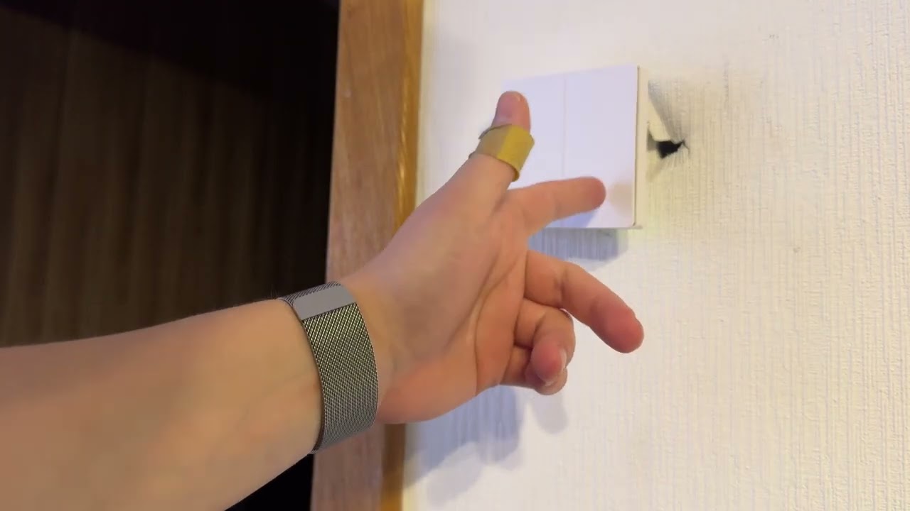 УМНЫЙ ВЫКЛЮЧАТЕЛЬ БЕЗ НУЛЯ ПО ZIGBEE К АЛИСЕ НАПРЯМУЮ