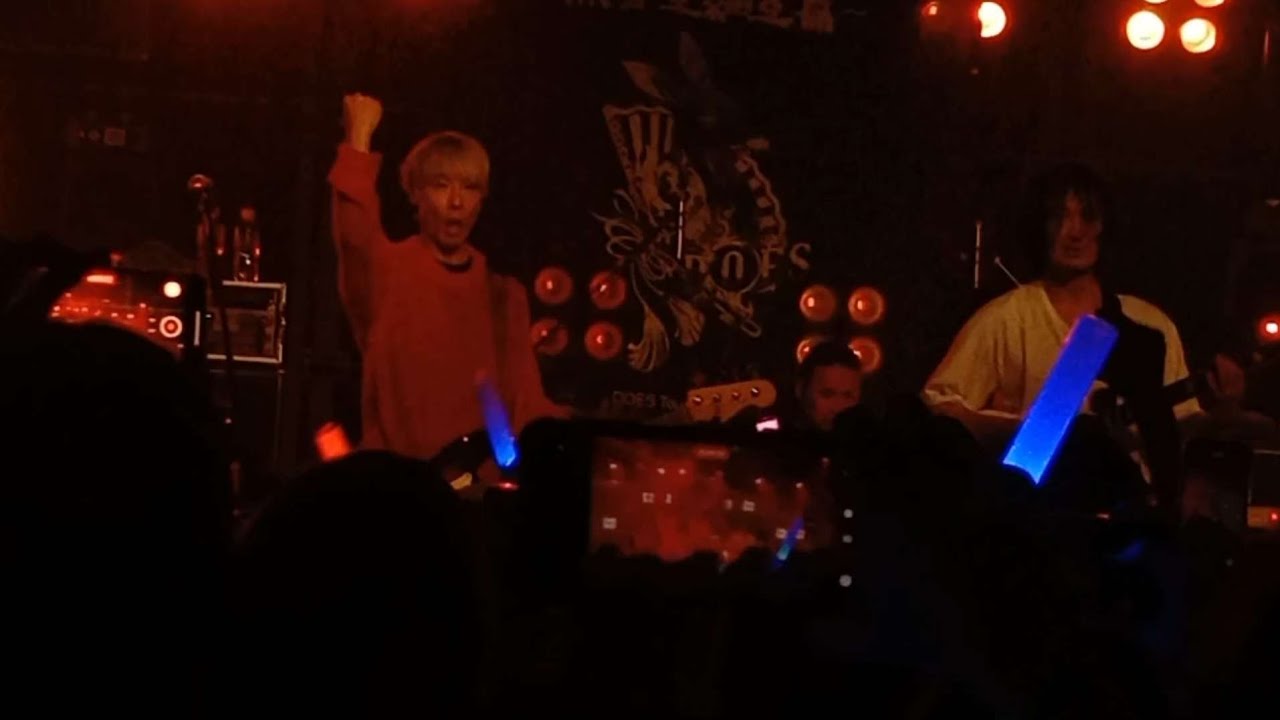 Does 내한 수라