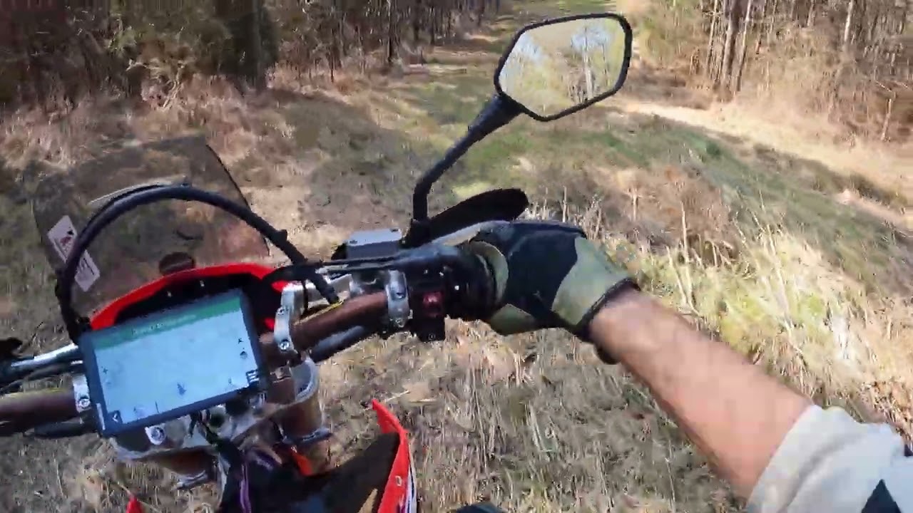 More Tuscaloosa farm ride. 