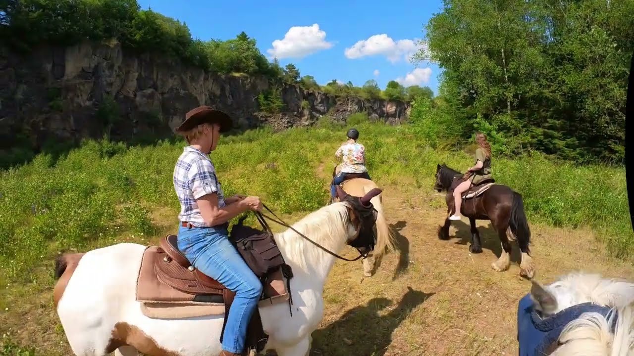 Paint Horse Ranch in Betteldorf Eifel