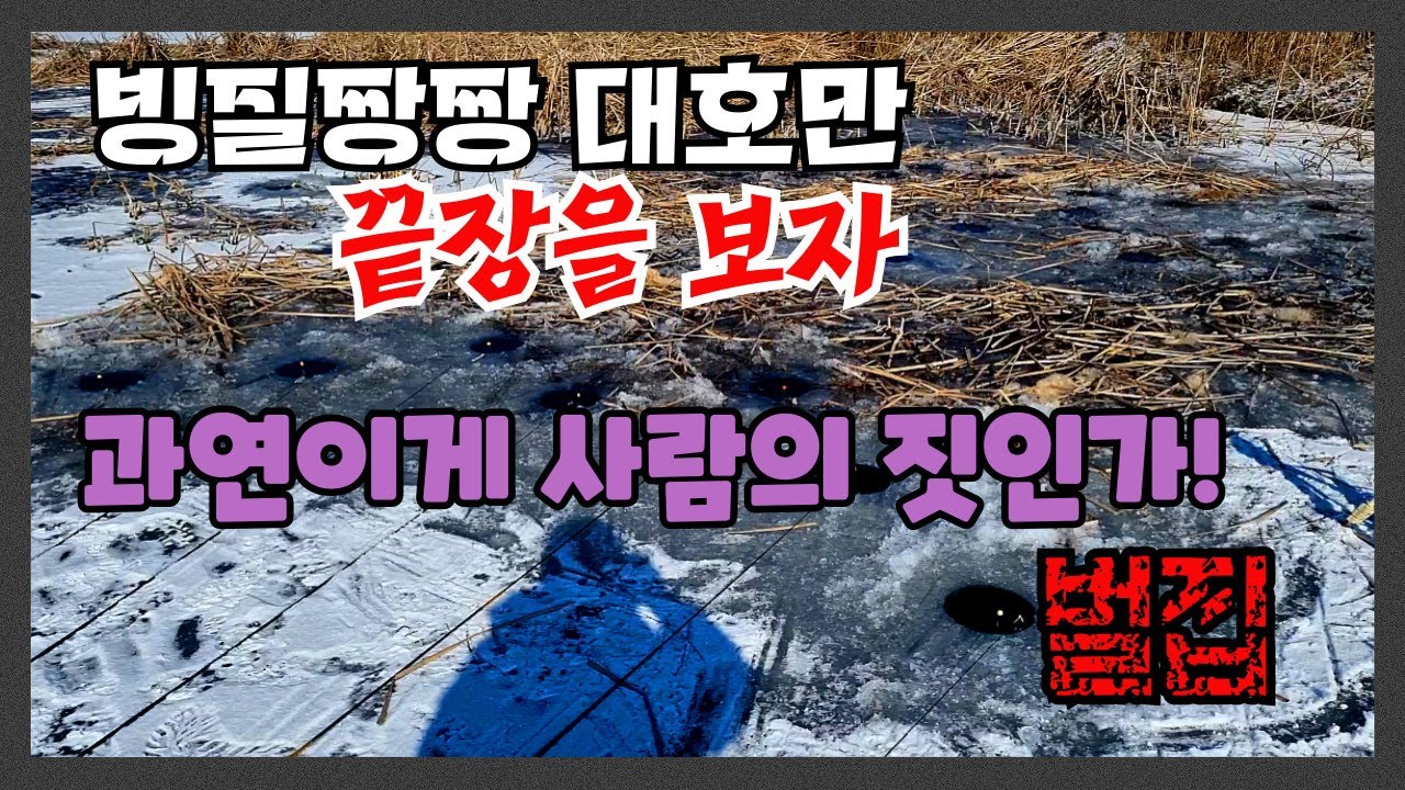 빙질 짱짱대호만 한판 떠! 사람으로 할짓이 아니야 이건!