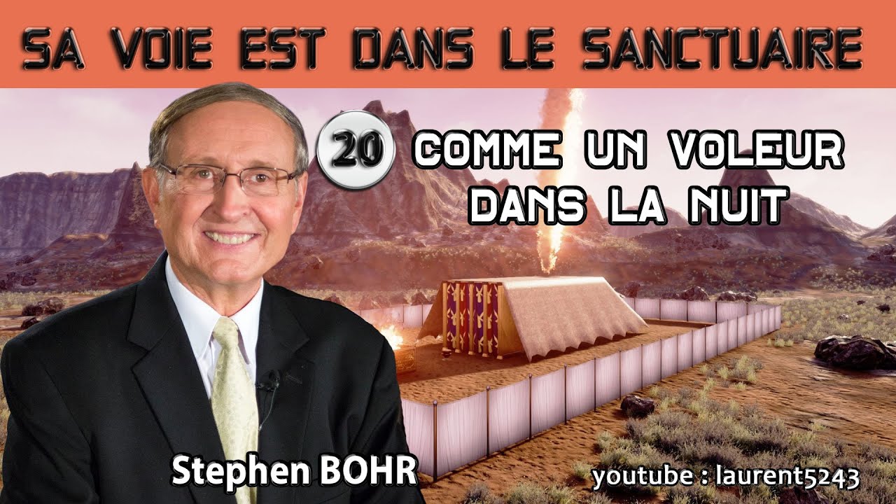 Stephen BOHR-20/32- Comme un voleur dans la nuit
