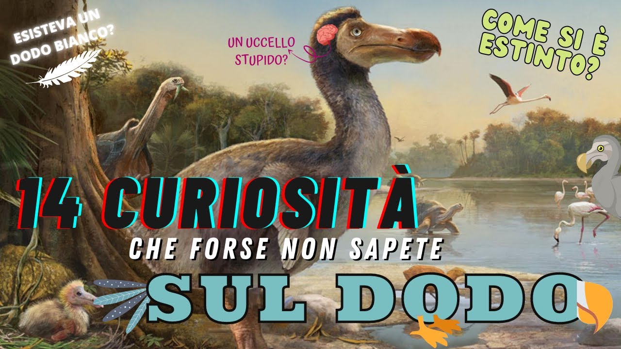 14 CURIOSITA' che forse non sapete sul DODO: Un uccello STUPIDO?!
