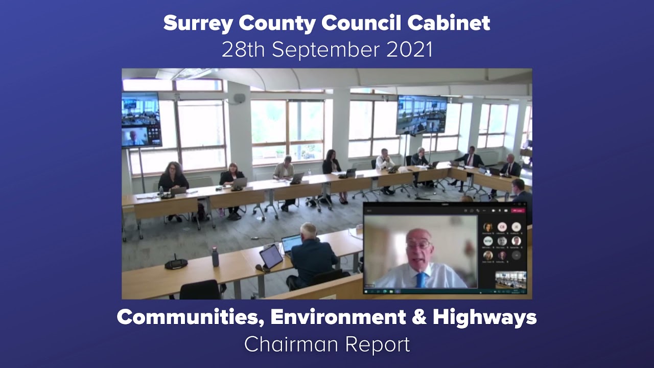 Surrey County Council Cabinet - ECHSC Chairman's Report