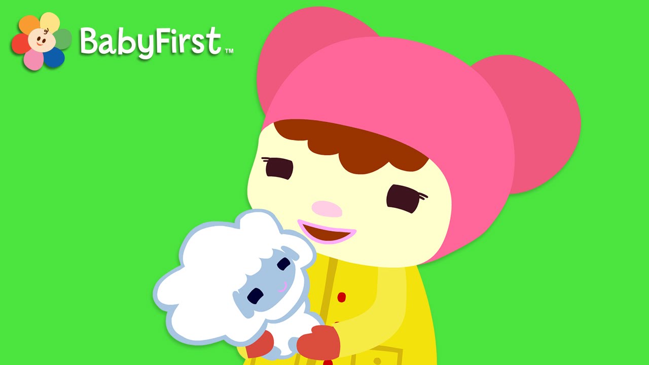 Mary Had a Little Lamb with Lyrics| Nursery Rhymes for kide  | BabyFirst TV