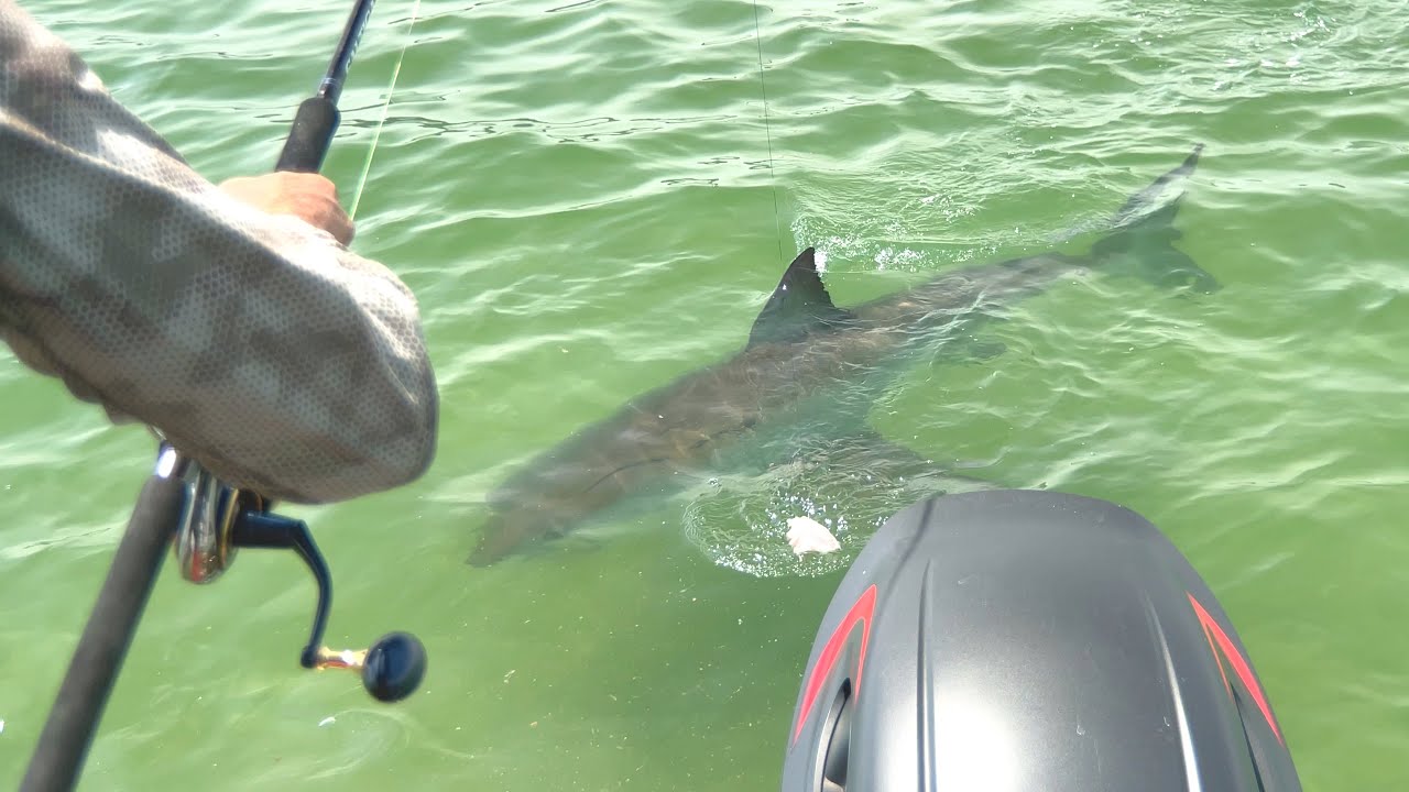 How to Make a Shark Fishing Trace