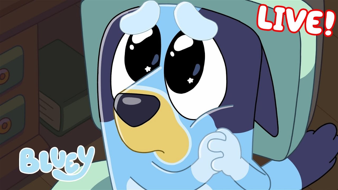 🔴LIVE: Best of Bluey Series 1! | FULL EPISODES | Bluey