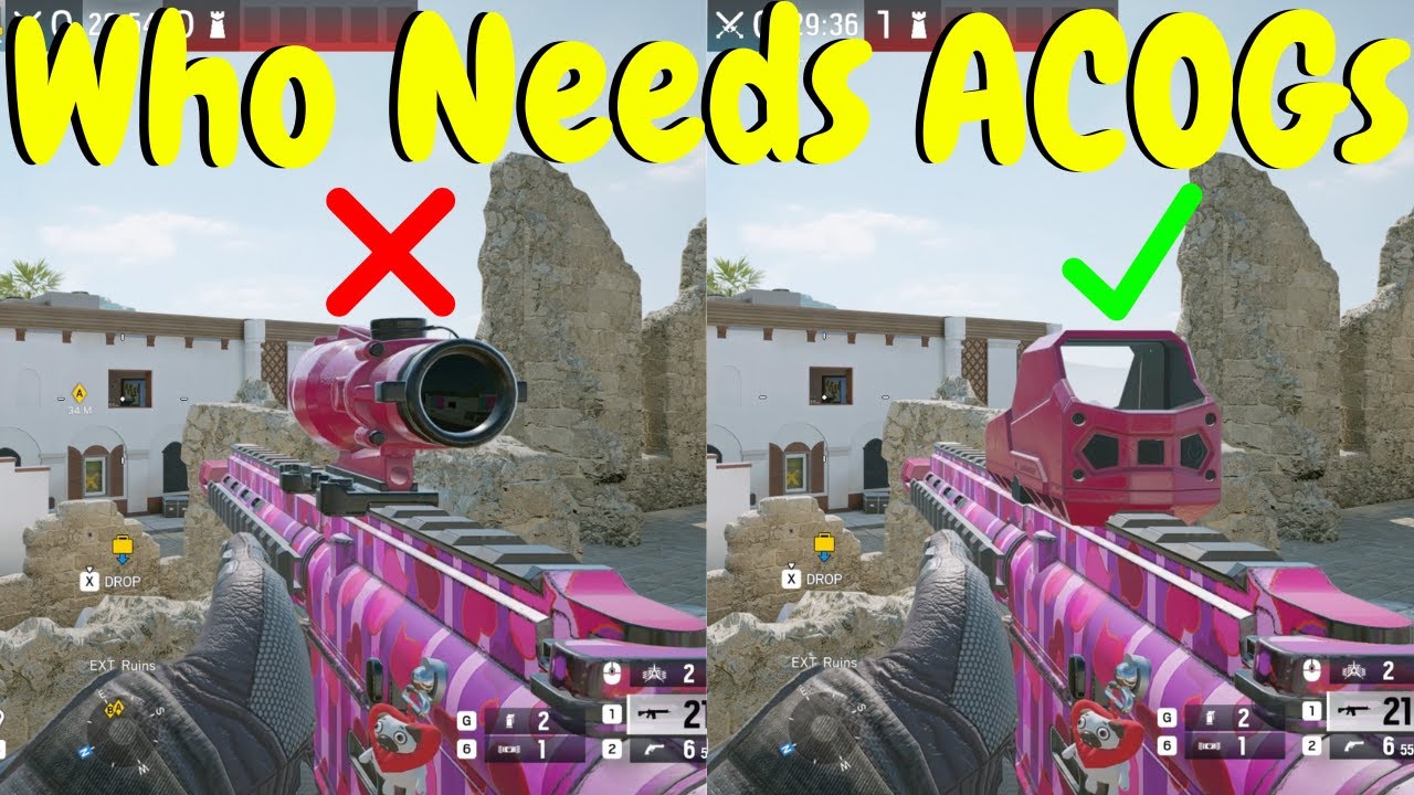 1x DMR Meta in Rainbow Six Siege X
