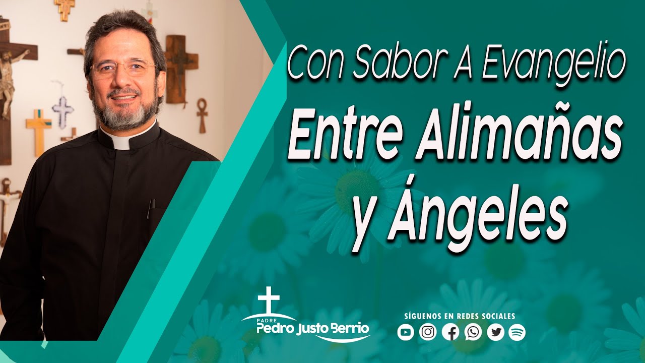Entre Alimañas y Ángeles - Padre Pedro Justo Berrío