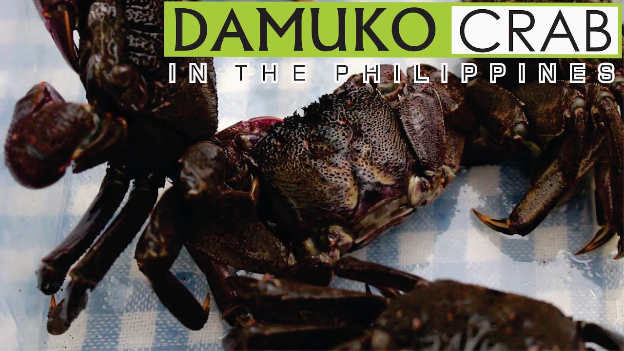 SINIGANG NA DAMUKO CRAB IN THE PHILIPPINES