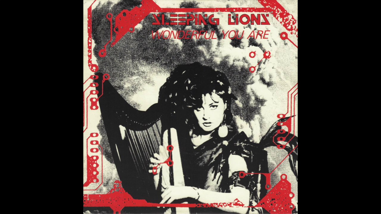 Sleeping Lions - Wonderful You Are