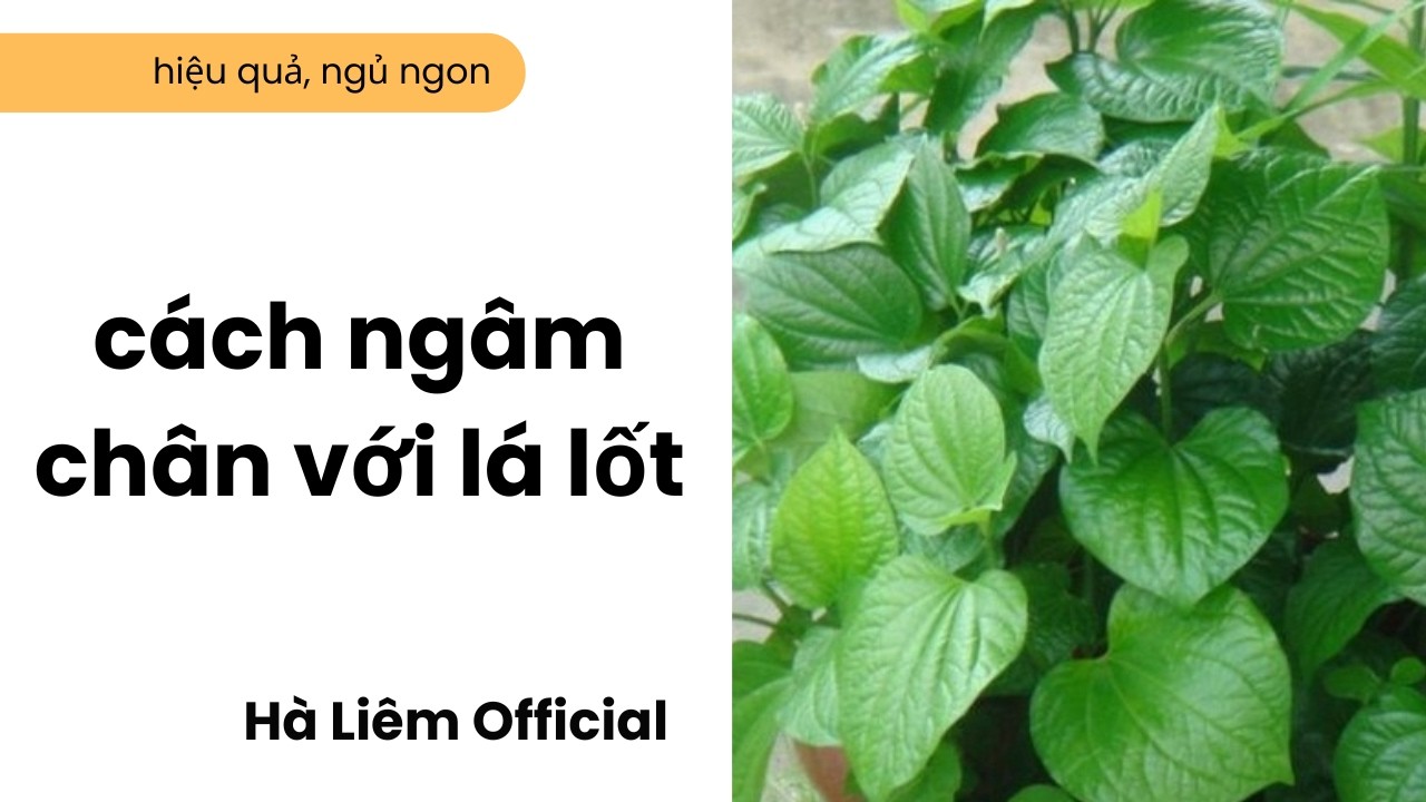 Bí Quyết Ngâm Chân Lá Lốt Làm Ấm Cơ Thể, Hết Lạnh Tay Chân