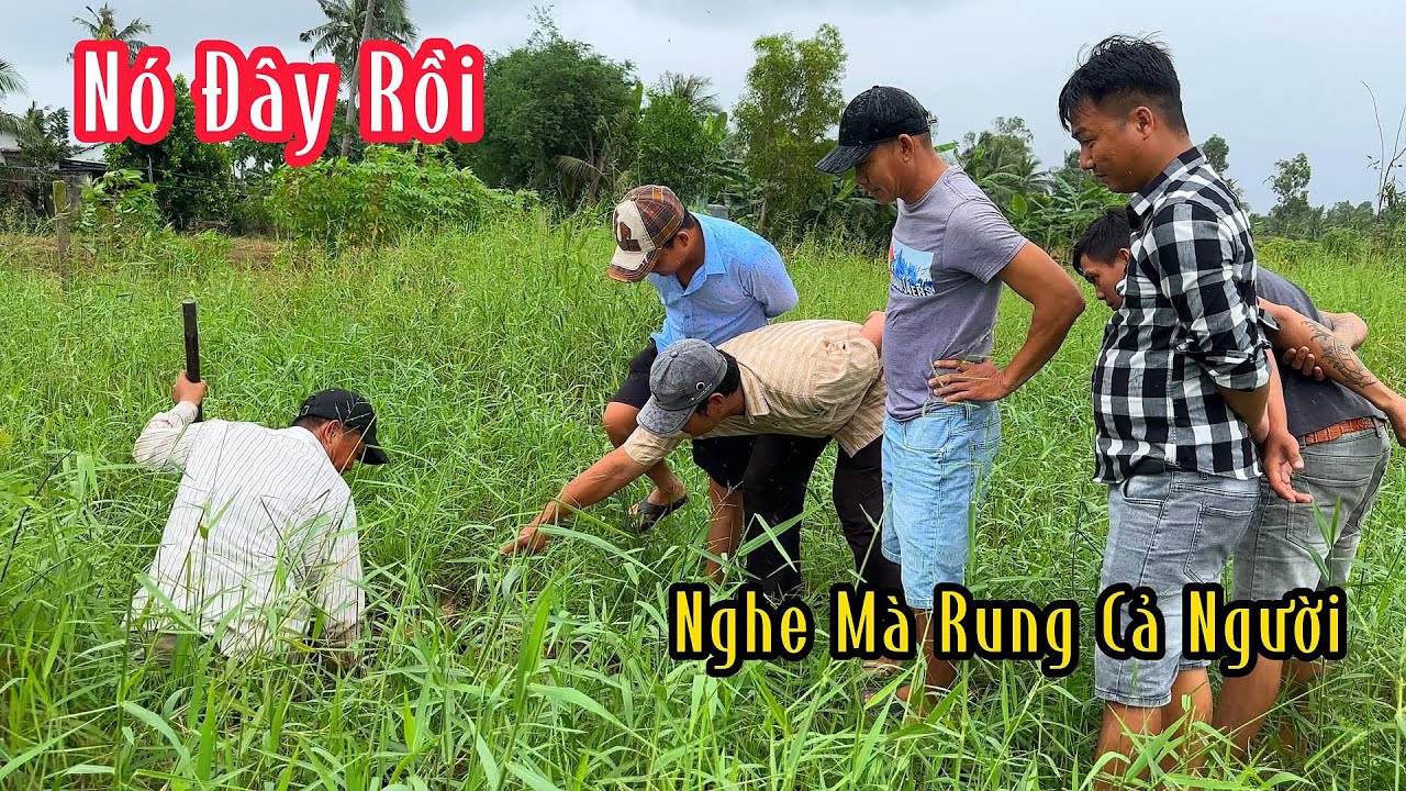Ông Anh Chỉ Chỗ Con Rắn Hổ To Bằng Bắp Giò Mà Hết Hồn | Mười Thương Săn Bắt