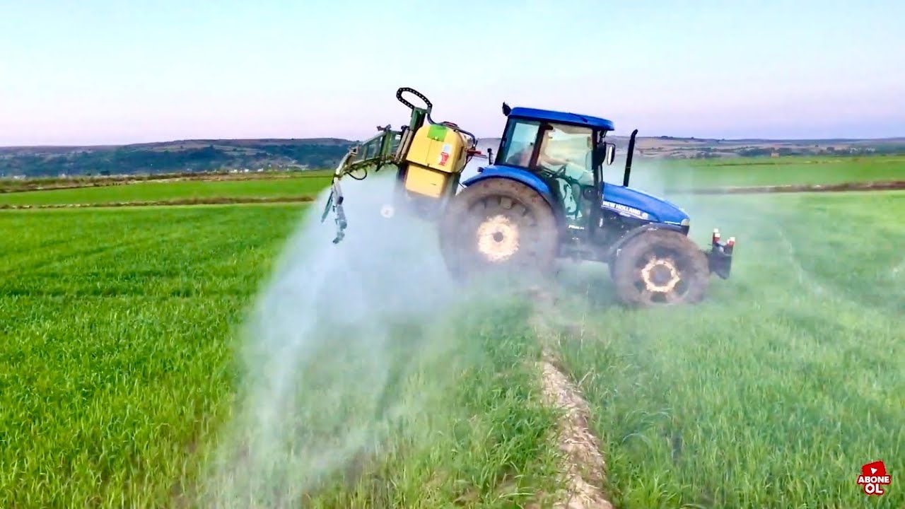 Çeltiklere ilaç atıyoruz | New Holland TD90D - (Güncel video 25 Haziran)