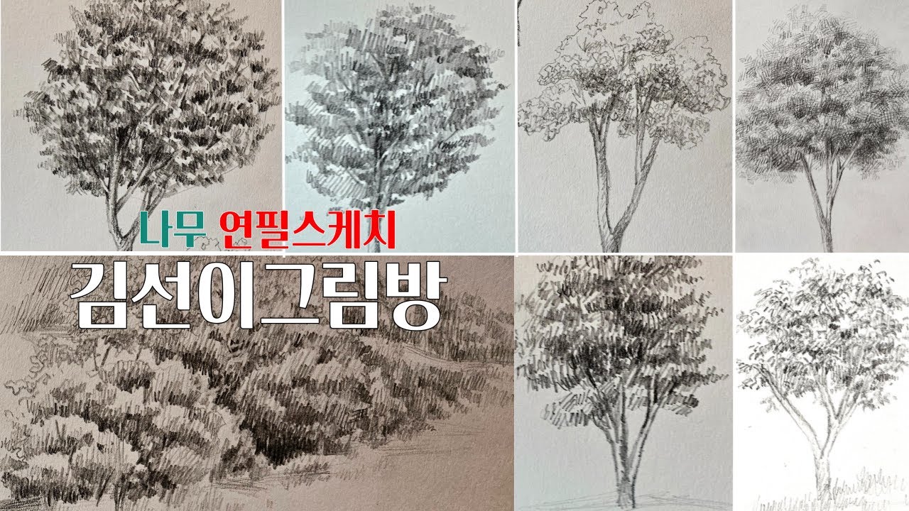 [나무 6가지] 이렇게 그려도 나무~ 김선이그림방 연필스케치 #취미