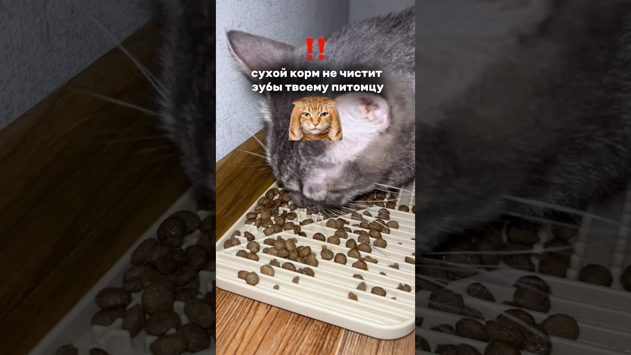 Арт. ВБ 