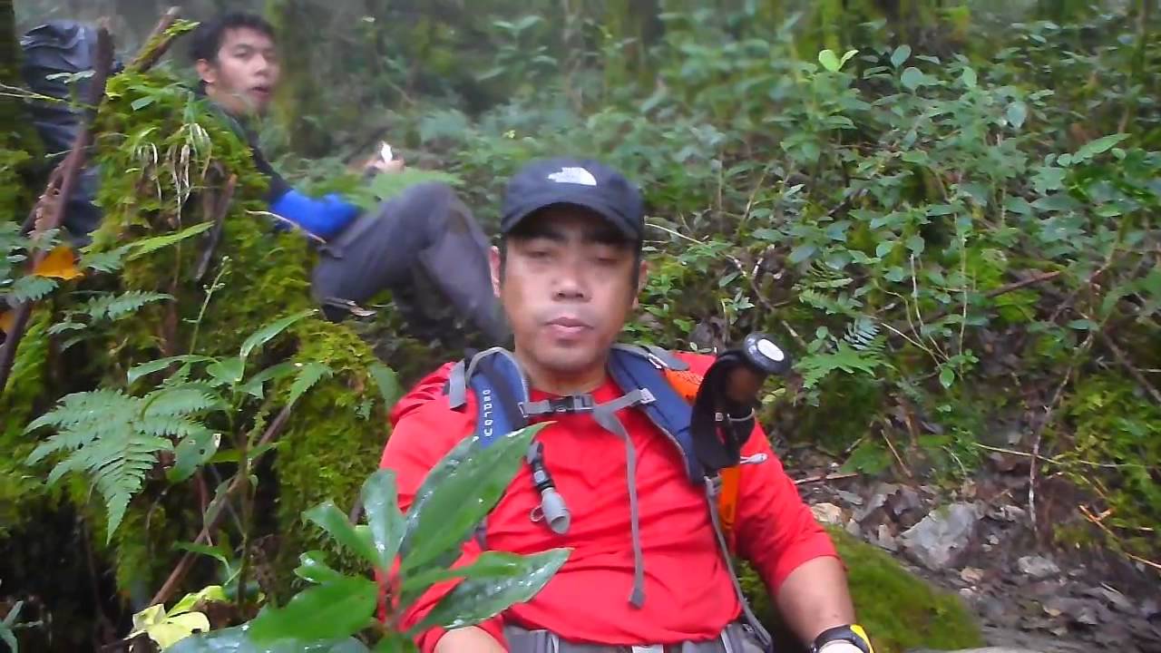 Mt. Halcon