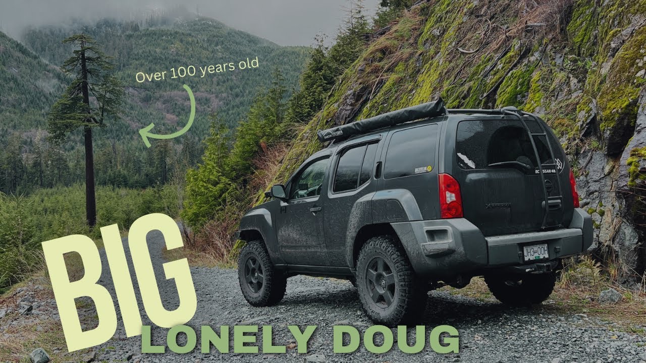 Drive to Canada's 2nd Largest Douglas Fir Tree | Big Lonely Doug | Port Renfrew BC