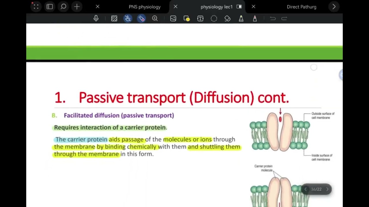 physiology lac 1 part second
