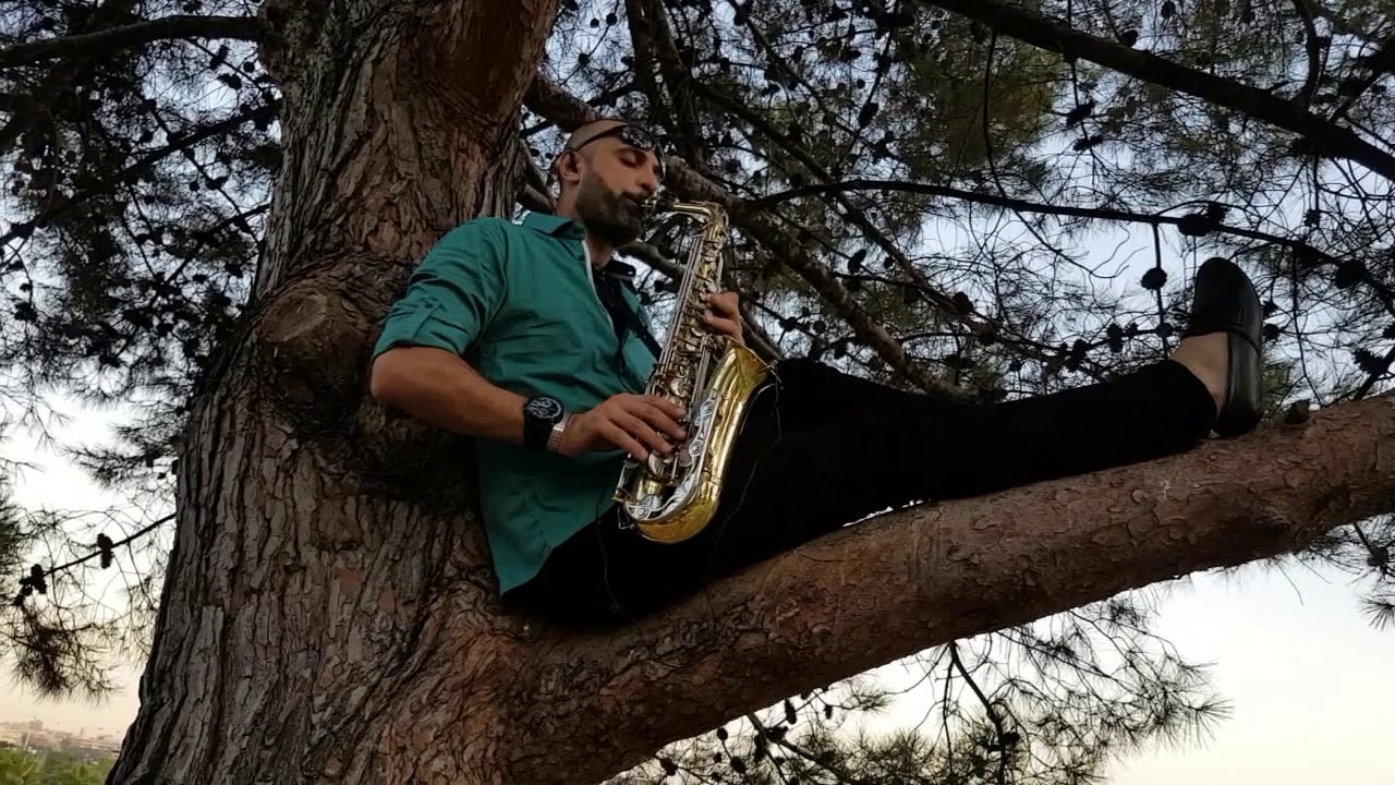 لا إنت حبيبي ساكسفون عامر سراقبي Saxophone Amer Sarakbi