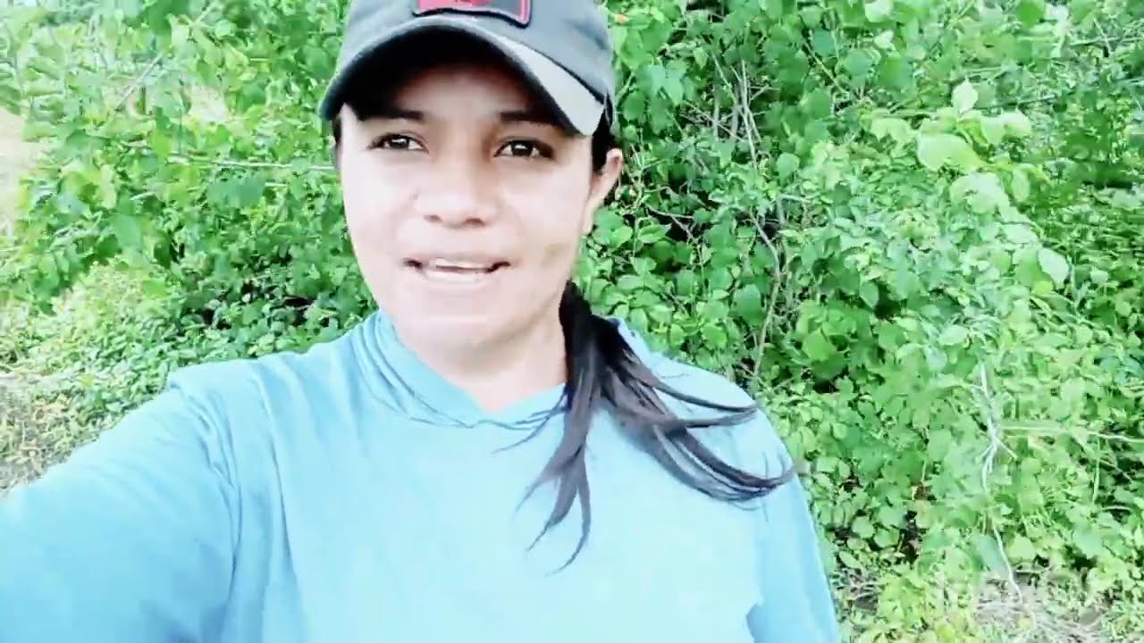 Fiz almoço no fogão a lenha/ tarde na lavoura de 🫛🫛🫛