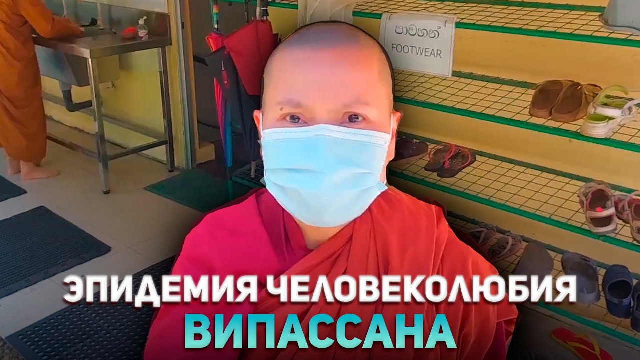 35. Випассана. Дамма сервис/Damma service. Dhamma Sobha Meditation Center. [ENG] SUB