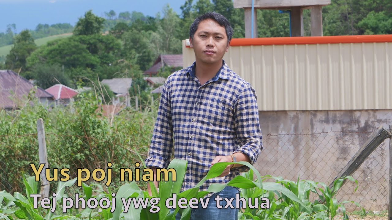 Yus poj niam tej phooj ywg tau deev txhua 6/13/2021